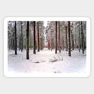 Red Trees in the Winter Forest Sticker
